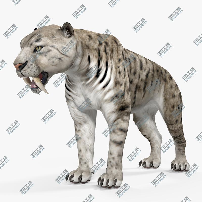 images/goods_img/202104021/3D Arctic Saber Tooth Cat model/1.jpg